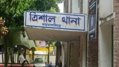 ত্রিশালে পুকুরে ডুবে দুই সহোদরের মর্মান্তিক মৃত্যু