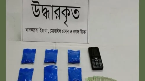 গোয়ালন্দে ১ হাজার ৩০০ ইয়াবাসহ নারী মাদক কারবারি গ্রেপ্তার