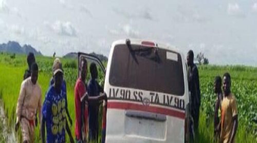 নাইজেরিয়ায় বন্দুকধারীদের হাত থেকে ৩৩ জিম্মিকে উদ্ধার করল সেনাবাহিনী