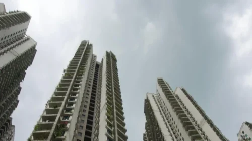 মালয়েশিয়ার ‘ভুতুড়ে শহর’ ফরেস্ট সিটি যেভাবে হলো আন্তর্জাতিক স্ক্যামারদের আস্তানা