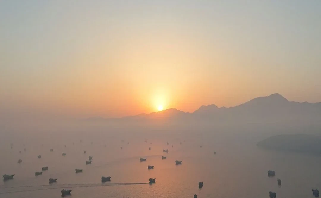হরমোজ প্রণালীতে তেলের ট্যাংকারে ইরানি হামলার নিন্দা জানাল সংযুক্ত আরব আমিরাত