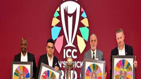 আইসিসির নতুন ডেপুটি চেয়ারপারসন হলেন তাভেঙ্গওয়া মুকুলহানি