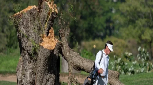 আগামী মাসে শুরু হচ্ছে ওয়াশিংটনের ঐতিহাসিক গলফ কোর্সের সংস্কার কাজ