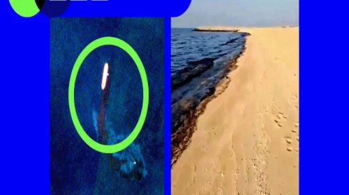 হরমুজ প্রণালীতে ট্যাঙ্কার হামলার পর আমিরাতের উপকূলে তেলের বিপর্যয়
