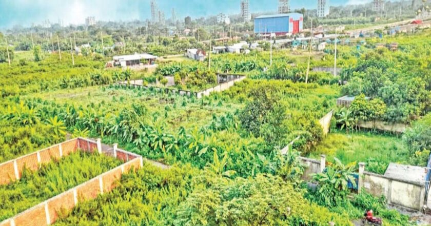 ৩১ বছরেও আবাসন সংকটে পূর্বাচল, ভোগান্তিতে প্লট মালিকরা