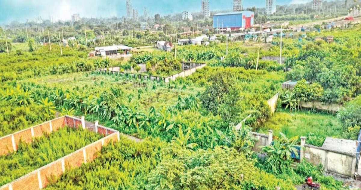 ৩১ বছরেও আবাসন সংকটে পূর্বাচল, ভোগান্তিতে প্লট মালিকরা